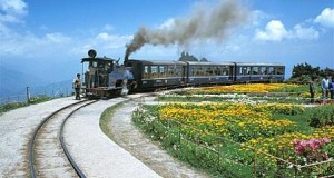 darjeeling tours